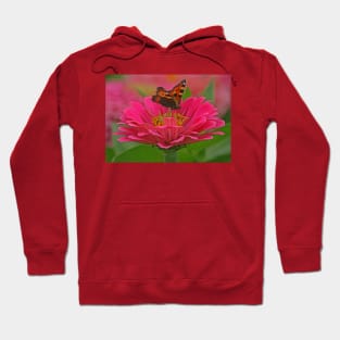 Tortoiseshell Butterfly, August 2021 Hoodie